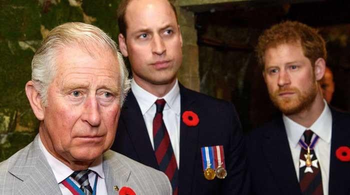 Prince Harry left devastated by King Charles, William in secret meeting