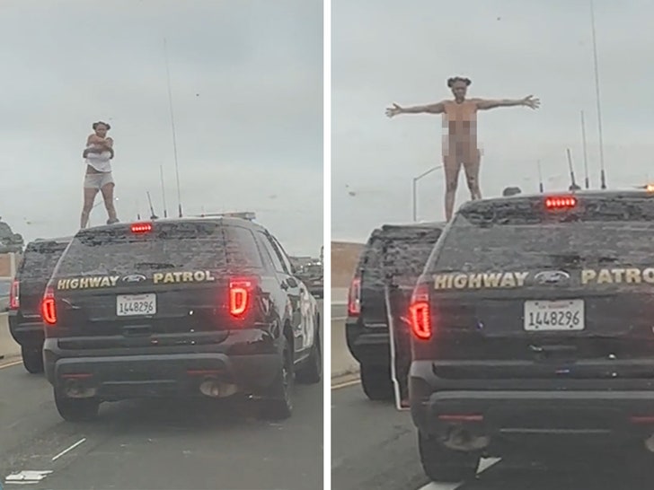 Woman In L.A. Police Chase Gets Naked On Freeway, CHP Bears Witness