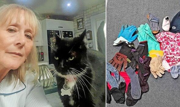 ‘Cat burglar’ pinches clothes – but the real culprit might surprise you