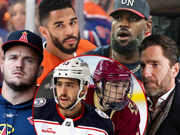 LeBron James, Mike Trout and NHL World Pay Tribute To Johnny And Matthew Gaudreau