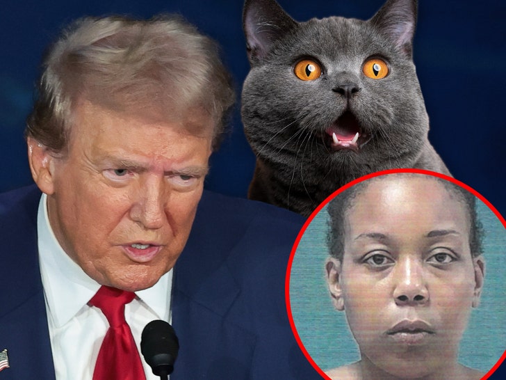 Cat-Eating Suspect Is American with Mental Health Issue, Truth About Trump Claim