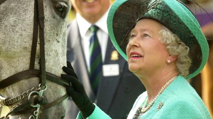 Queen Elizabeth’s stud groom reveals heartwarming moments from her final days