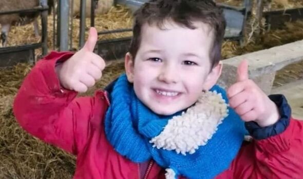 Boy, 4, suffered ‘traumatic brain injury’ while playing in garden after school