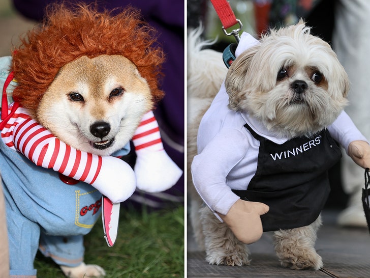 Dogs Show Off Halloween Costumes at Howl’oween Festival in Toronto