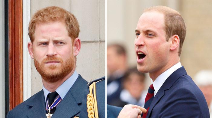 Prince William ‘bloody jealous’ of Prince Harry’s ‘charisma’