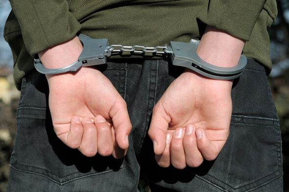 Boy, 12, arrested on suspicion of sexual assault and indecent exposure in small town