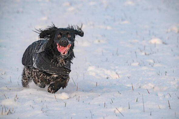 Met Office predicts exact time yet more wintry weather will fall across the country