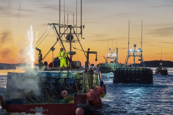 China tariffs on Canadian seafood add to trade uncertainty