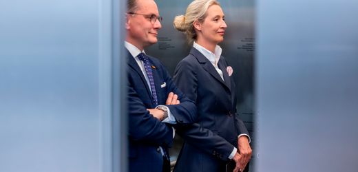 Compendium of Extremism: A Look inside the Report Documenting the AfD’s Right-Wing Radicalism