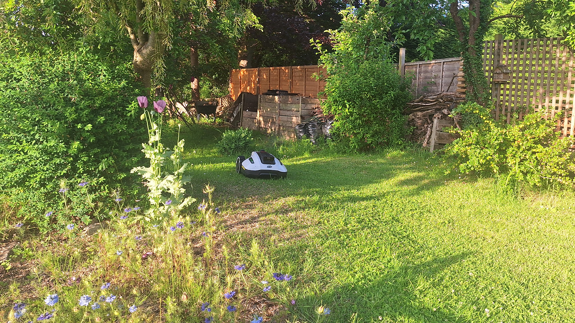 I tried setting up my first lawnbot and the experience nearly broke me – these are the mistakes I made that you need to avoid