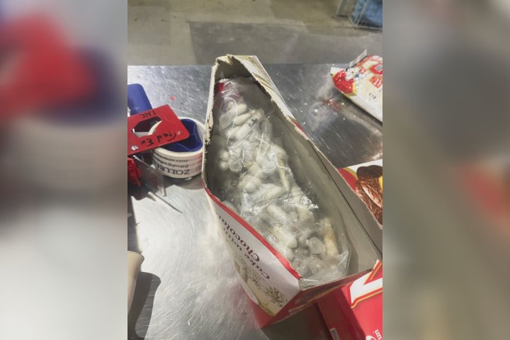Over 1,400 tarantulas found hidden in cake boxes in German smuggling bust