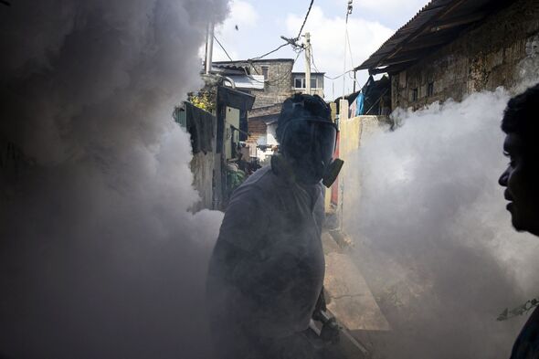 What IS the chikungunya virus ripping through China with 7,000 infected so far?