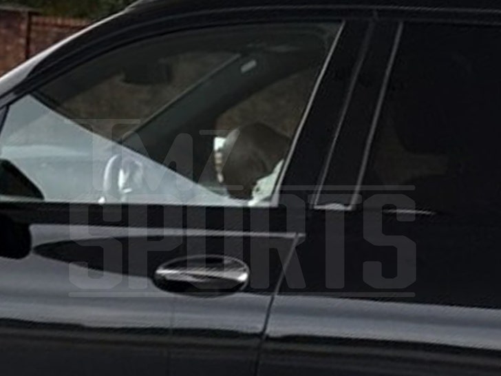 Adrian Peterson Asleep At Wheel Of Running Car Prior To Arrest Adrian Peterson Asleep At Wheel Of Running Car Prior To Arrest
