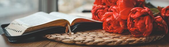 Author of modern literary classic to release memoir in November Author of modern literary classic to release memoir in November