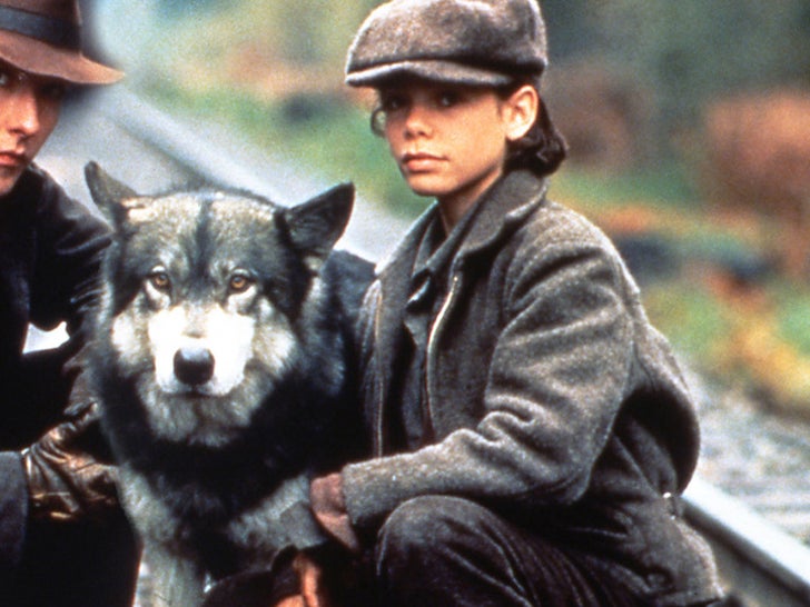 Natty in ‘The Journey of Natty Gann’ ‘Memba Her?!