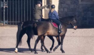 Andrew Mountbatten-Windsor breaks cover for first time since losing titles