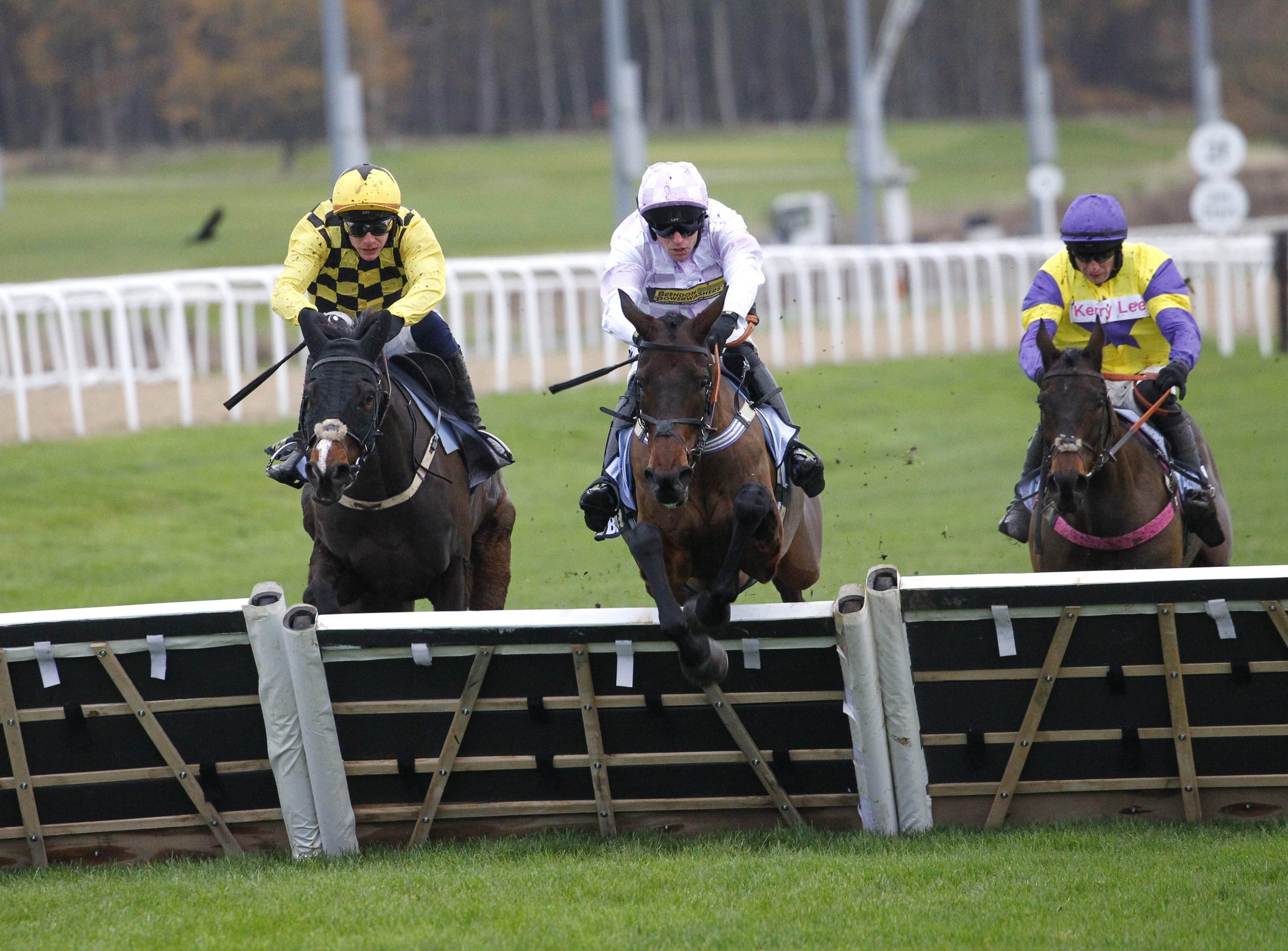 Constitution Hill falls AGAIN as Golden Ace takes advantage to win a dramatic Fighting Fifth Hurdle