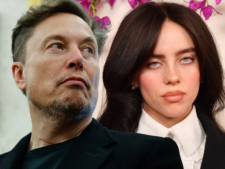 Elon Musk Claps Back at Billie Eilish After She Slams Him for Hoarding Wealth