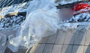 Horror as little boy’s head found in backpack without body – ‘Covered in bruises’