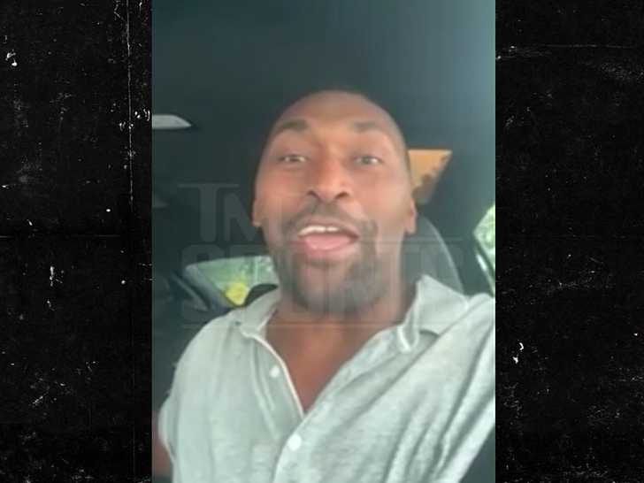 Metta World Peace Wants To Be Mavericks’ Next GM After Nico Harrison Firing