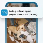 Your Ring camera is about to get smarter with Single Event Alert – and it should mean fewer notifications