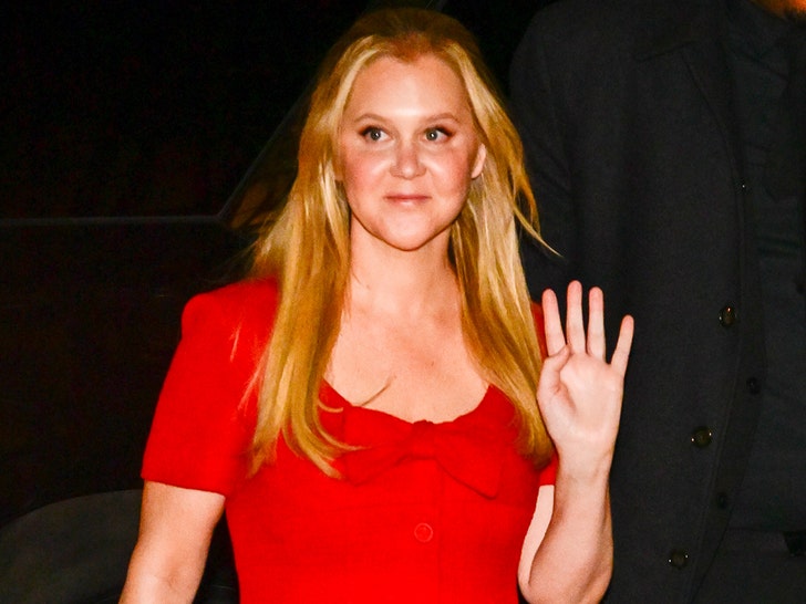 Amy Schumer Shows Off Incredible Weight Loss in Sexy Social Media Pics