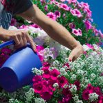 Former royal gardener reveals the Xmas hack that can help your garden flourish in spring AND uses up your leftovers too