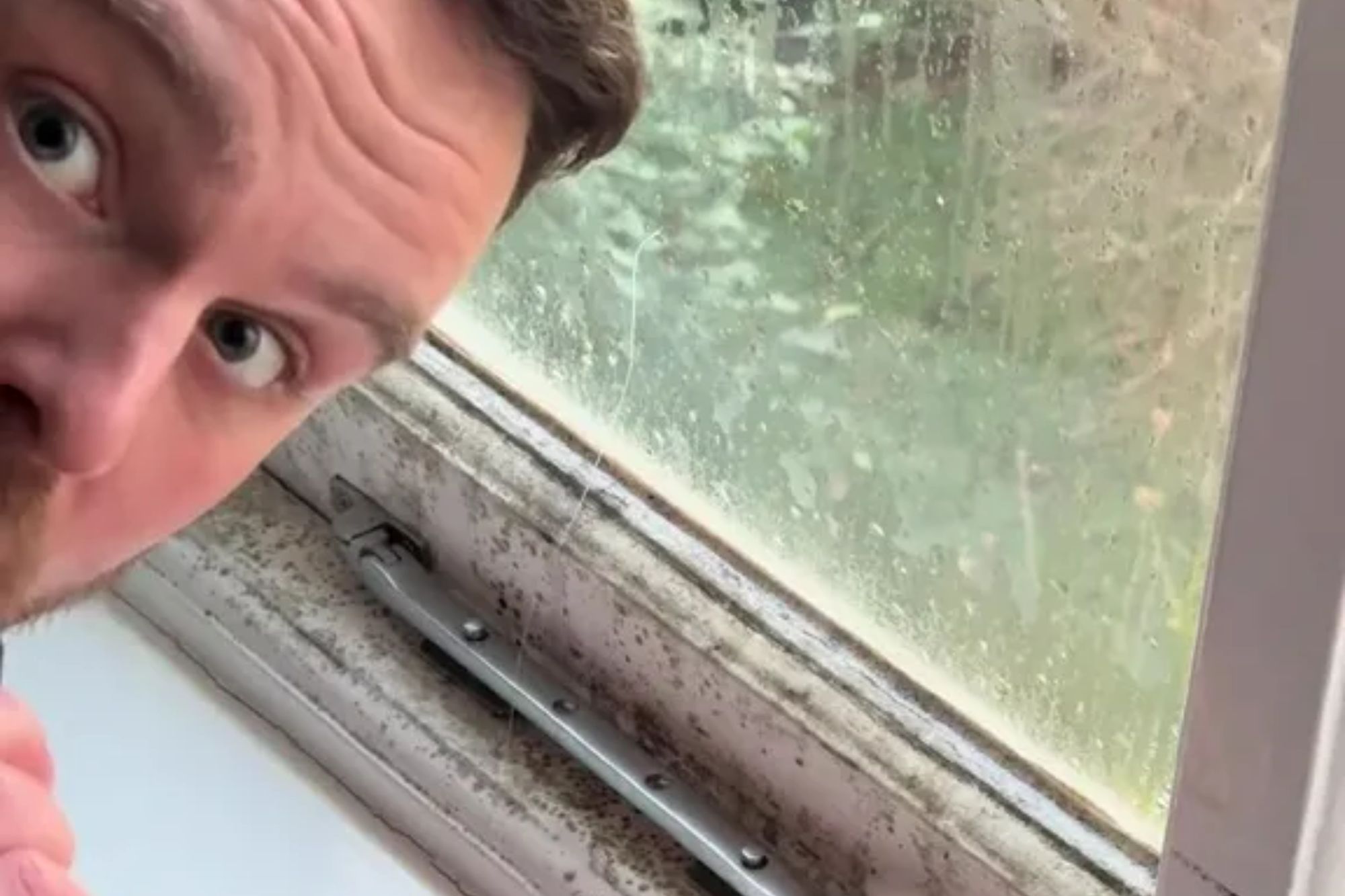 How to tackle harmful black mould this winter with a 35p Aldi buy – you’ll be surprised at how many spores come off