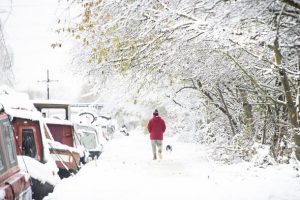 Met Office issues White Christmas verdict – check if your area will get snow tomorrow