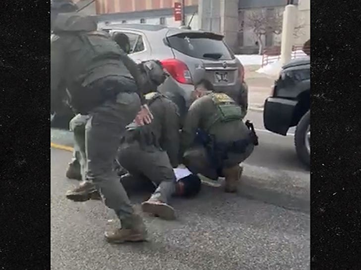 Border Patrol Agent Knees Man in Head, Face During Minneapolis Arrest, on Video