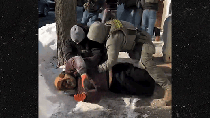 Border Patrol Agents Clash With Bystanders After Fatal Alex Pretti Shooting