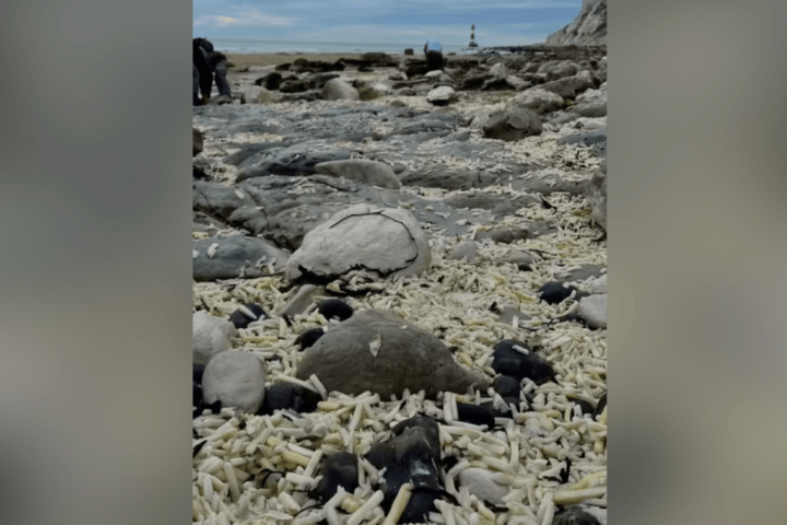 Fry tide! Bags of French fries wash up on U.K. beach after cargo ship spill