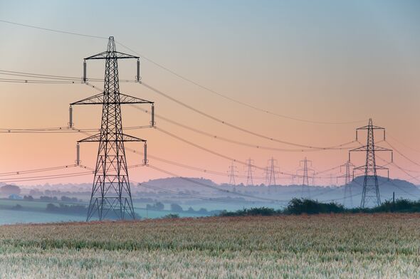 Fury as customers to be hit with £288m bill to remove 10 eyesore pylons