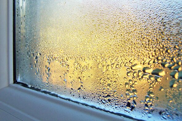 Households urged to follow ‘20 minute rule’ to stop condensation in January