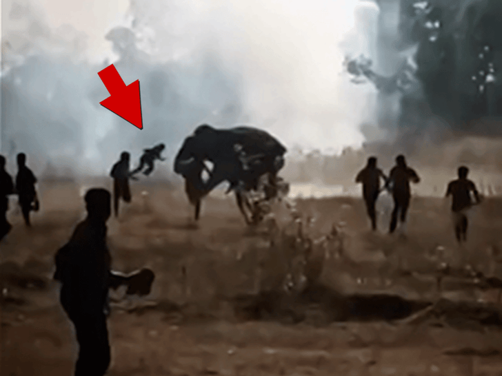 Killer Elephant Leaves 22 People Dead Over 10 Days in India, Still At Large