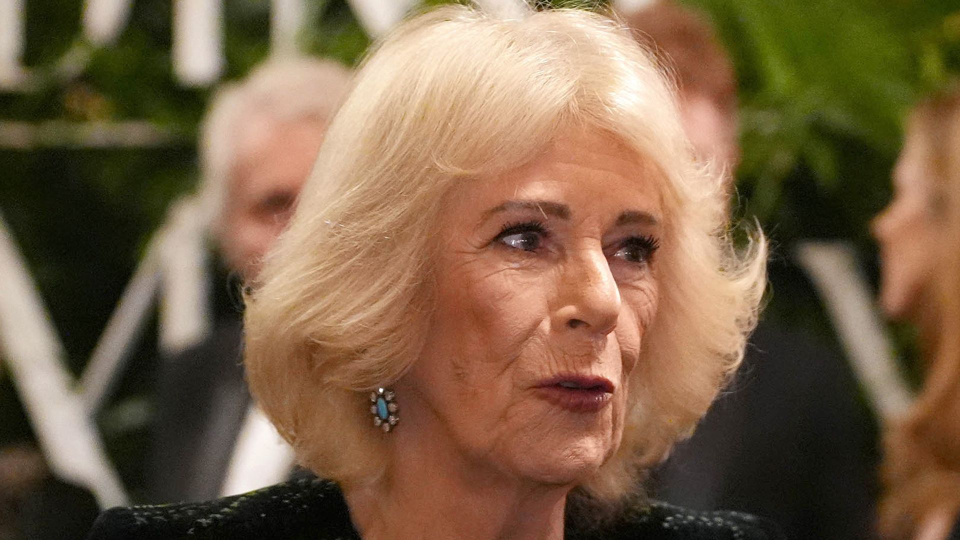 Queen Camilla makes a statement in velvet – straight from her wedding dress designer