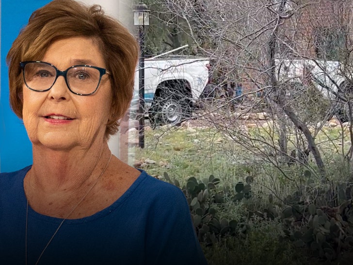 Nancy Guthrie: Pool Cleaners Show Up at Her House Amid Police Probe