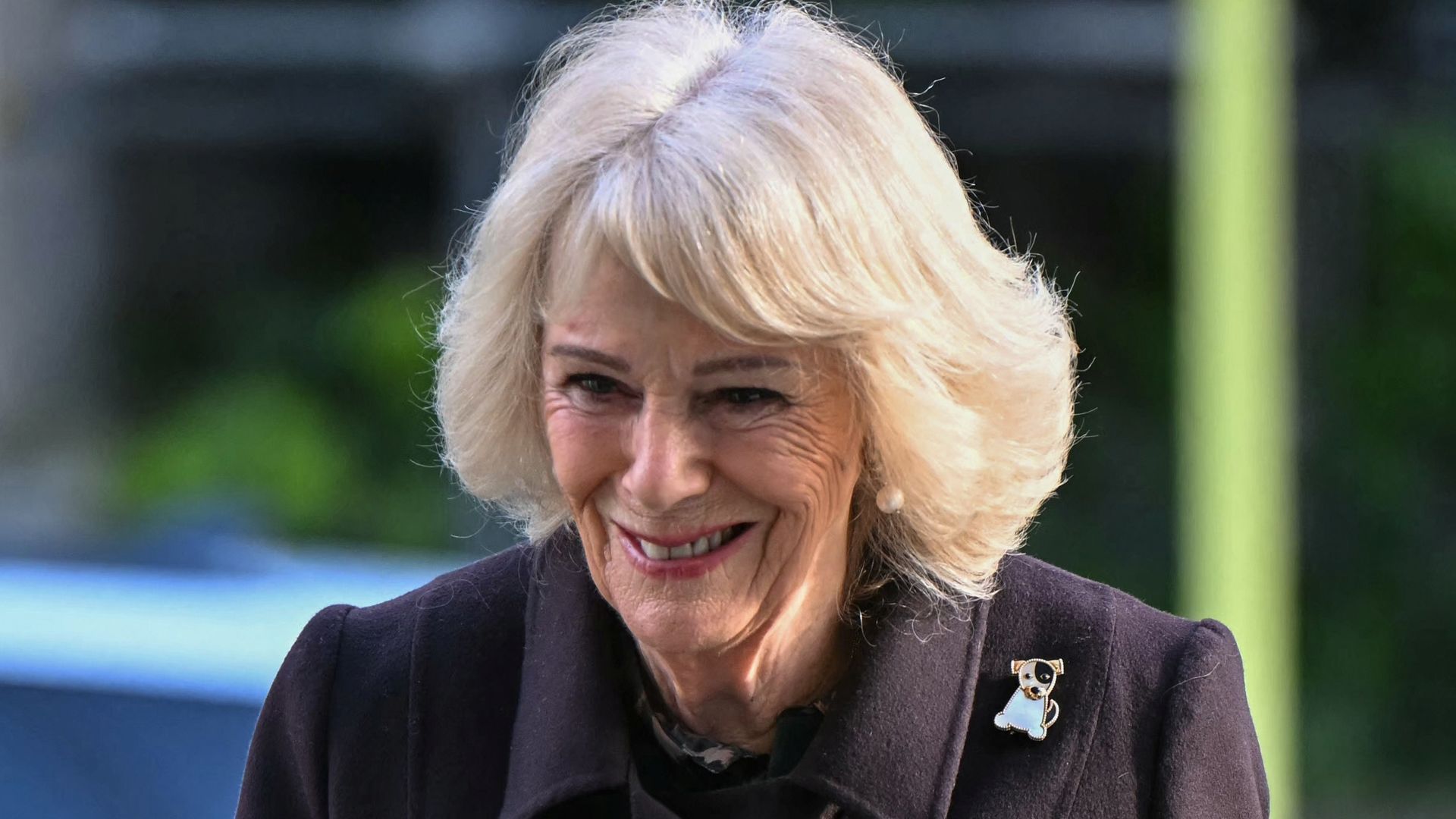 Queen Camilla oozes elegance in £150 zip-up dress – and it’s on sale
