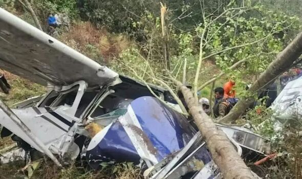 Brit-born publishing heir, pregnant wife, and footballer die in horror plane crash