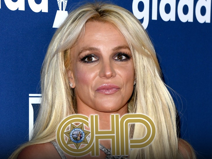 Britney Spears Took Field Sobriety Tests, Suspected of Drugs & Alcohol, CHP Says