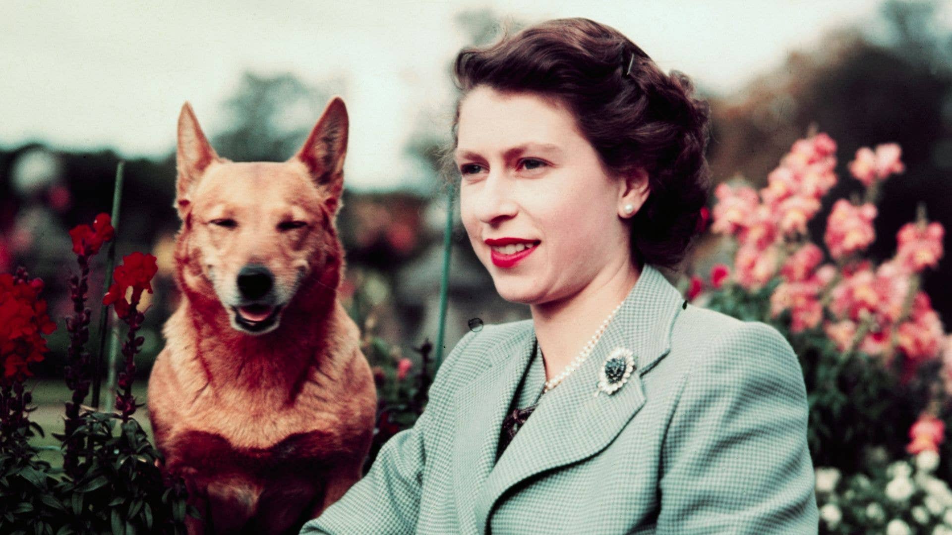 Burberry just honoured Queen Elizabeth II in the most incredible way – Corgis included