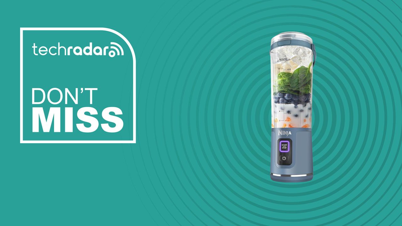 Check out the Ninja Blast if you want a ‘fun portable blender’ for cheap