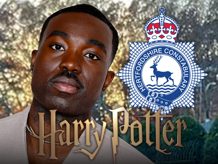 ‘Harry Potter’ Series Racist Death Threats Get UK Police Attention