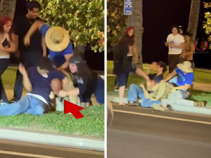 Man Dressed Like ICE Agent Beat Up At No Kings Protest In Hawaii, On Video