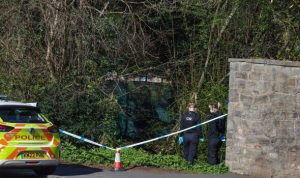 Police cordon off woodlands after child sexually assaulted in broad daylight