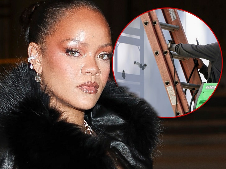 Rihanna’s Alleged House Shooter Could Lose Ability to Practice Speech-Language Pathology