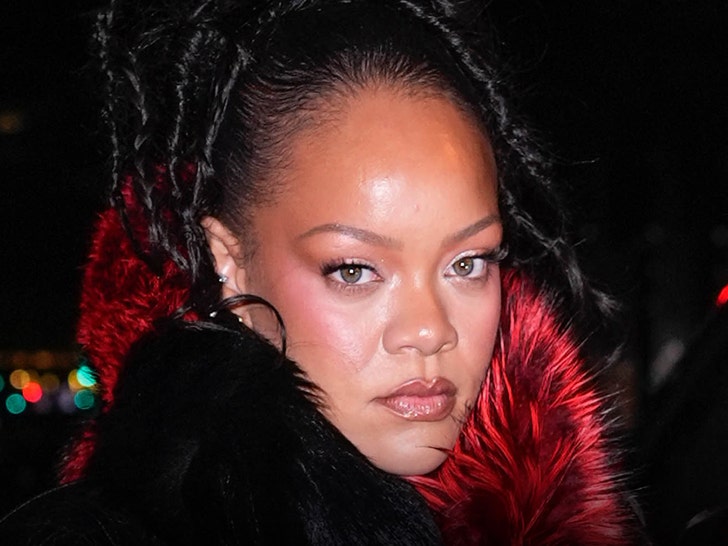 Rihanna’s Los Angeles Home Targeted in Shooting, Suspect in Custody