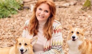 Sarah Ferguson ‘had talks to clone Queen’s corgis for TV’ – was ‘up for anything for cash’