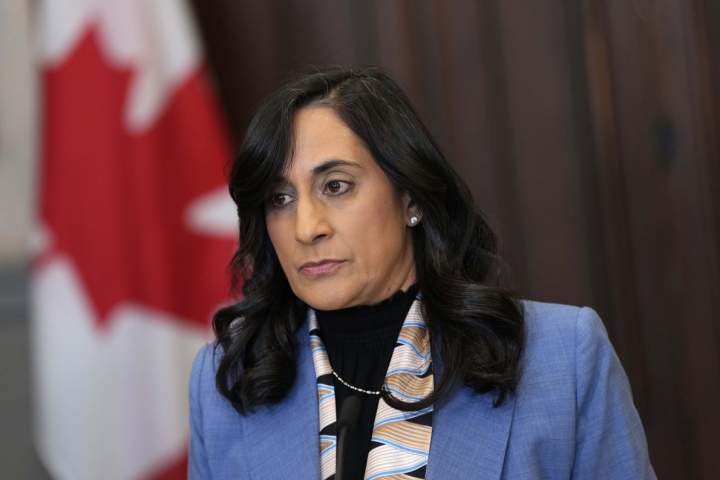 Canadian killed in Lebanon, Anand says while calling for ceasefire