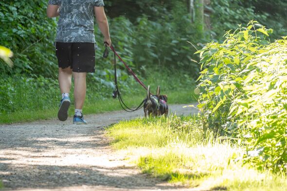 Dog law change is now in force and ‘extended to paths and roads’